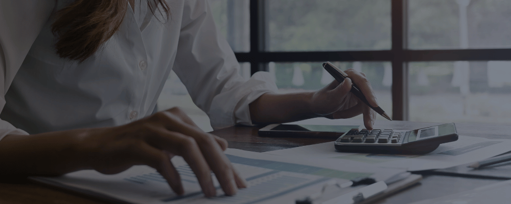 Finexis - Nowoczesna Księgowość Spółek Online