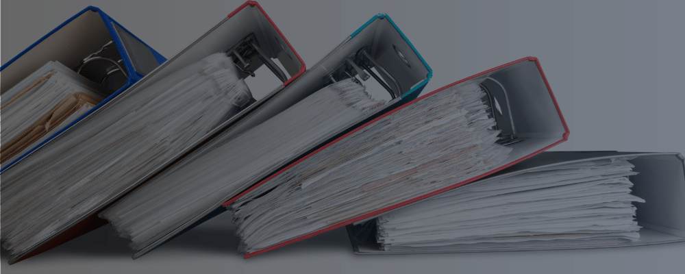 Finexis - Nowoczesna Księgowość Spółek Online