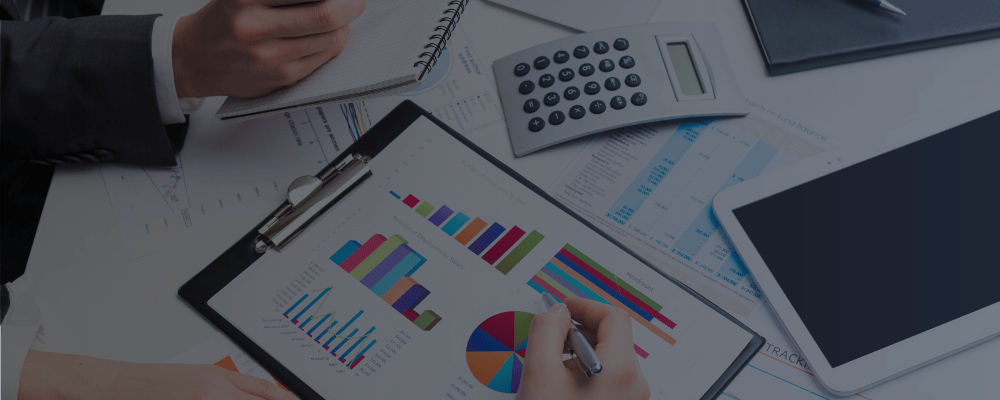 Finexis - Nowoczesna Księgowość Spółek Online